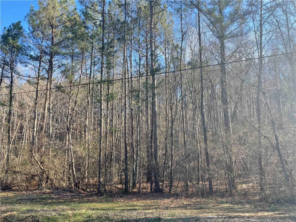 unimproved land for sale at 0 Rockfence Road, Adairsville, GA 30103 — photo 4