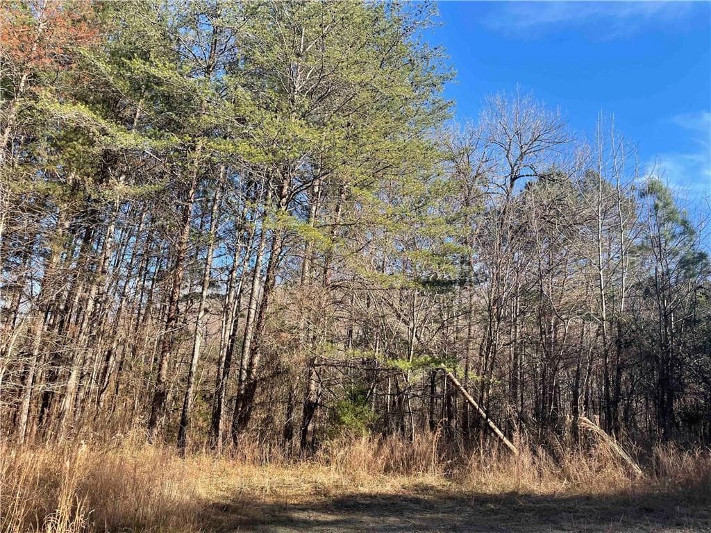 unimproved land for sale at 0 Rockfence Road, Adairsville, GA 30103 — photo 5