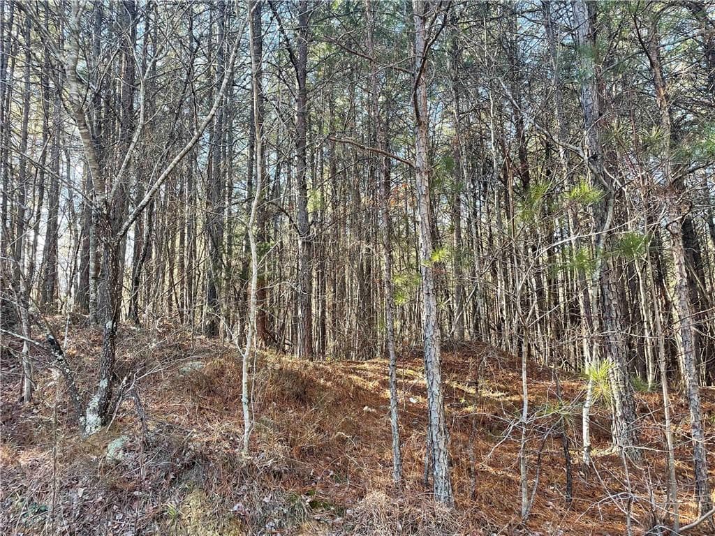 unimproved land for sale at 0 Rockfence Road, Adairsville, GA 30103 — photo 6