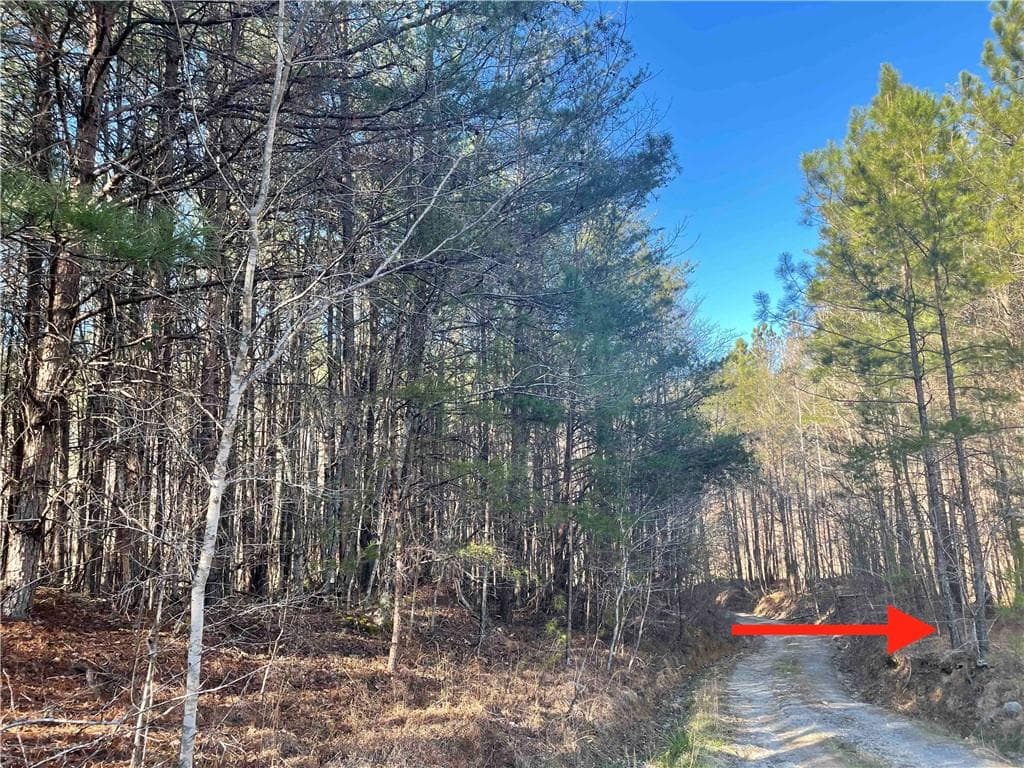 unimproved land for sale at 0 Rockfence Road, Adairsville, GA 30103 — photo 7