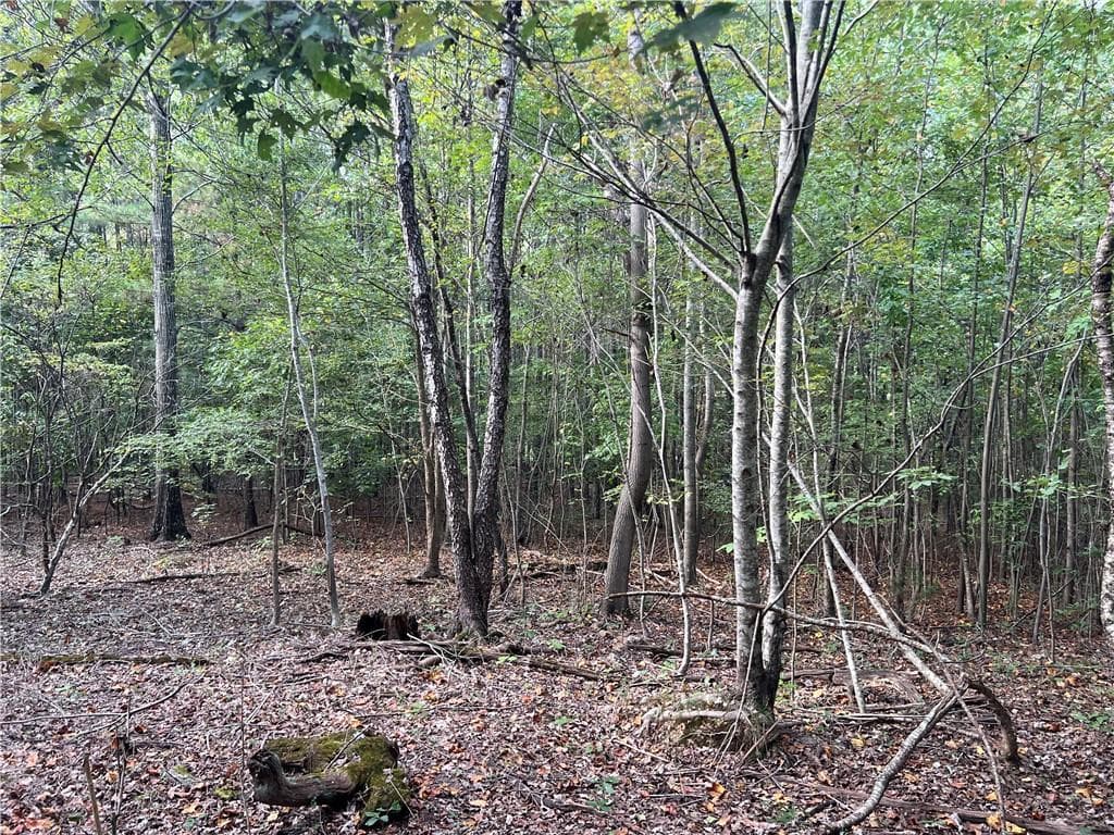 unimproved land for sale at 0 Rockfence Road, Adairsville, GA 30103 — photo 9