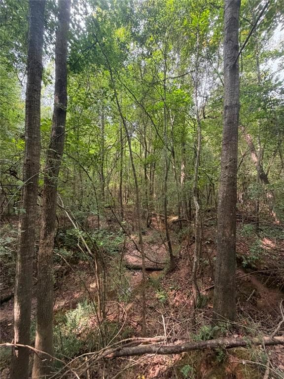 single family residence for sale at 822 Tabby Lane, Athens, GA 30605 — photo 2