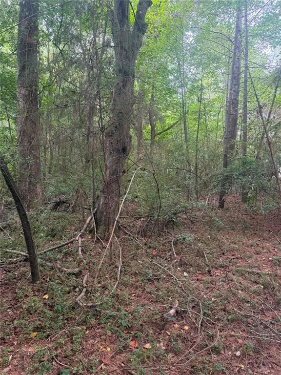 single family residence for sale at 822 Tabby Lane, Athens, GA 30605 — photo 3
