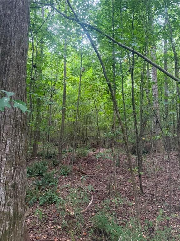 single family residence for sale at 822 Tabby Lane, Athens, GA 30605 — photo 5
