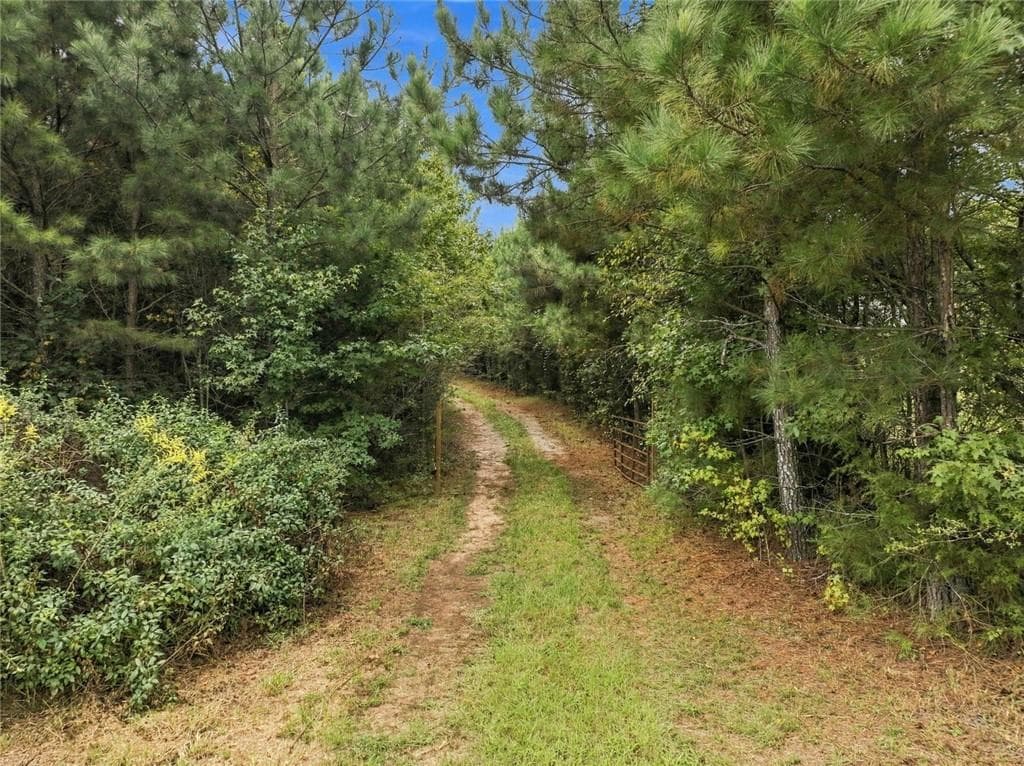 other for sale at 208 Garner Road, Cornelia, GA 30531 — photo 2