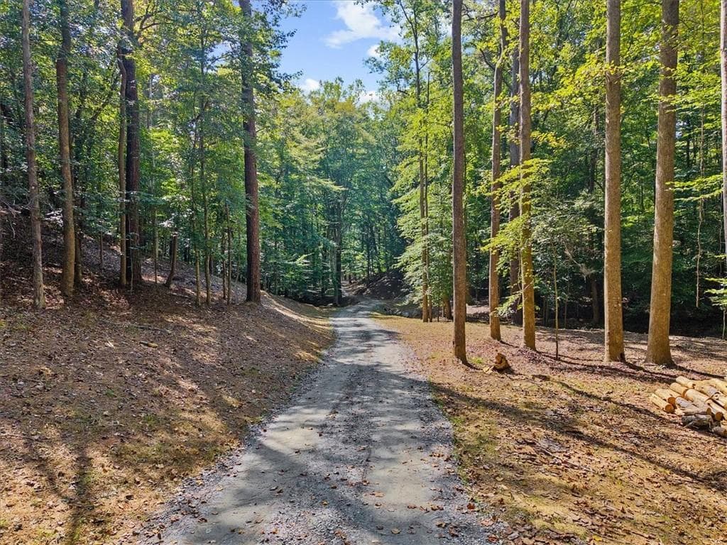 unimproved land for sale at 353 Jesse Martin Trail, Canton, GA 30115 — photo 2
