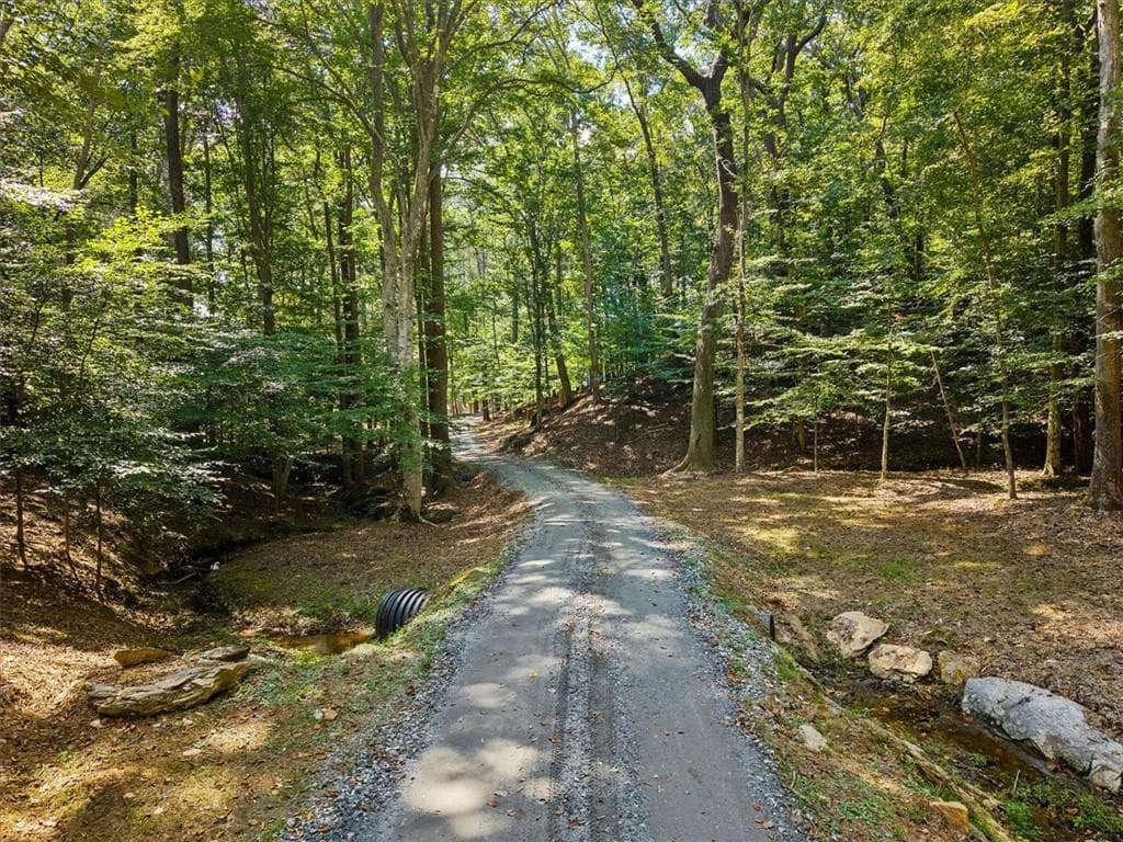 unimproved land for sale at 353 Jesse Martin Trail, Canton, GA 30115 — photo 3