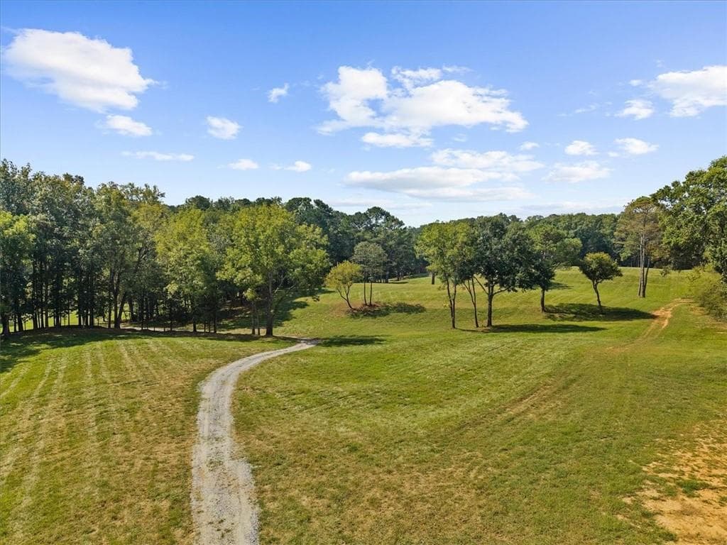 unimproved land for sale at 353 Jesse Martin Trail, Canton, GA 30115 — photo 5