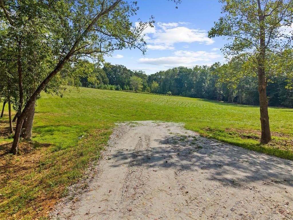 unimproved land for sale at 353 Jesse Martin Trail, Canton, GA 30115 — photo 6