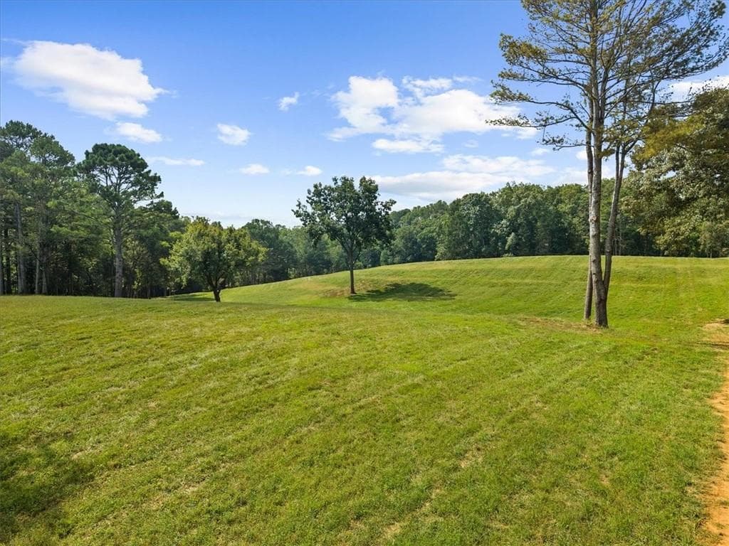 unimproved land for sale at 353 Jesse Martin Trail, Canton, GA 30115 — photo 10