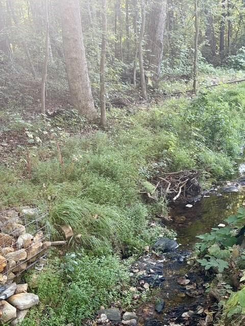 unimproved land for sale at 0 Old Roanoke Road, Bowdon, GA 30108 — photo 5