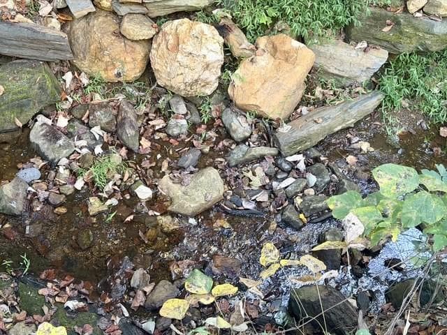 unimproved land for sale at 0 Old Roanoke Road, Bowdon, GA 30108 — photo 2