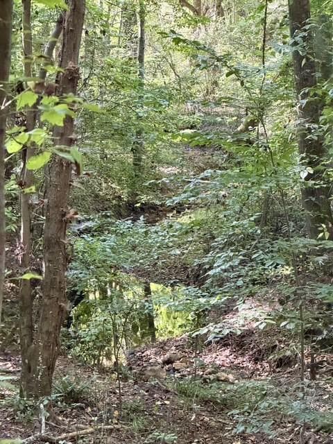 unimproved land for sale at 0 Old Roanoke Road, Bowdon, GA 30108 — photo 8