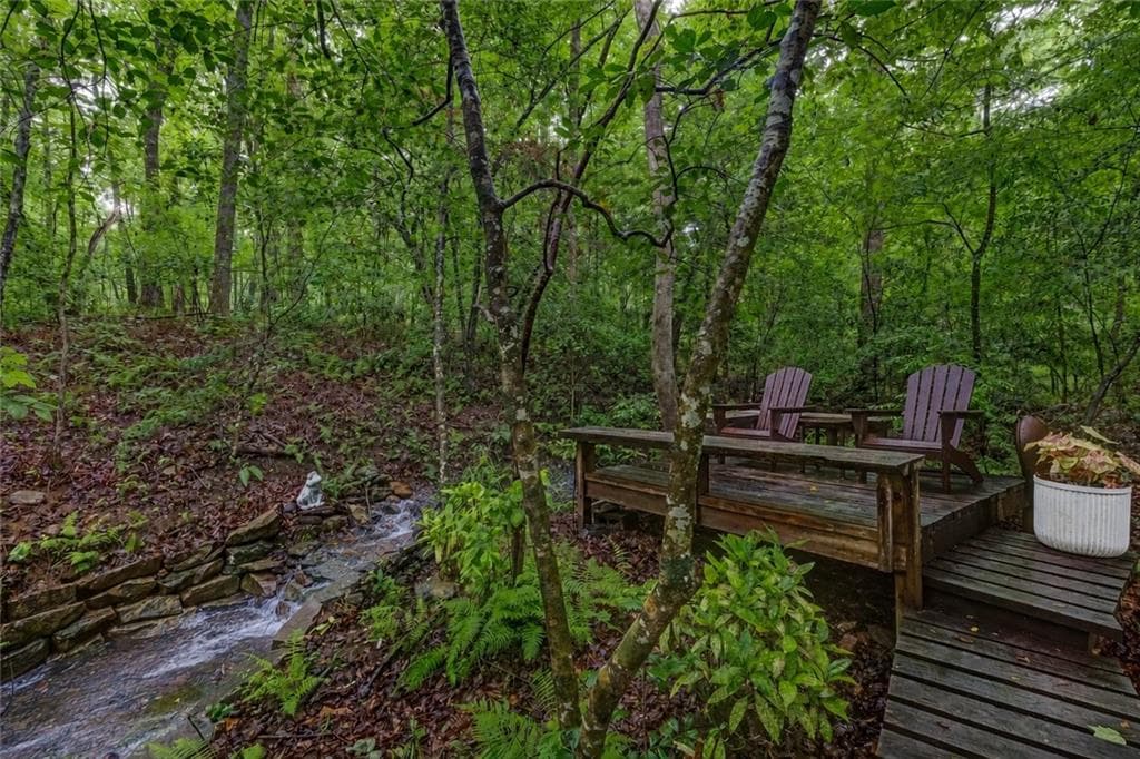 4 bedroom, 3 bathroom, 3,928 sq ft single family residence for sale at 551 Gold Rush Court, Ball Ground, GA 30107 — photo 3
