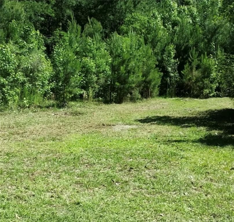 unimproved land for sale at 221 Turtle Drive, Richmond Hill, GA 31324 — photo 1 of 2