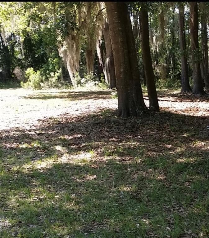 unimproved land for sale at 221 Turtle Drive, Richmond Hill, GA 31324 — photo 2