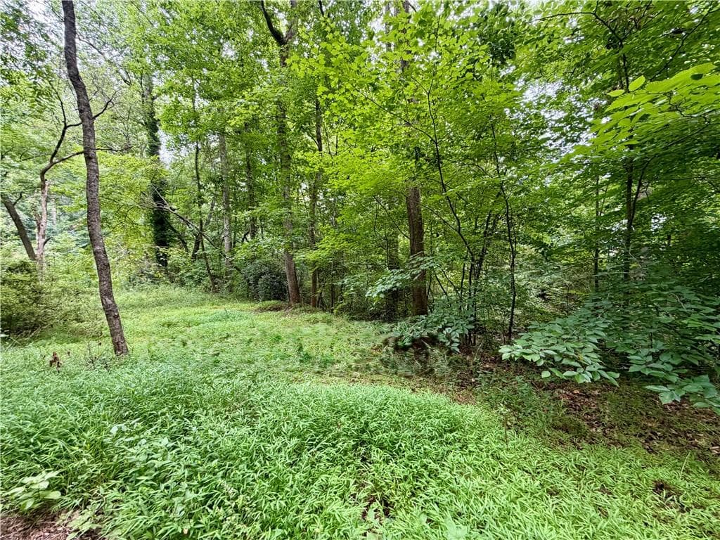 other for sale at 4824 Flakes Mill Road, Ellenwood, GA 30294 — photo 2