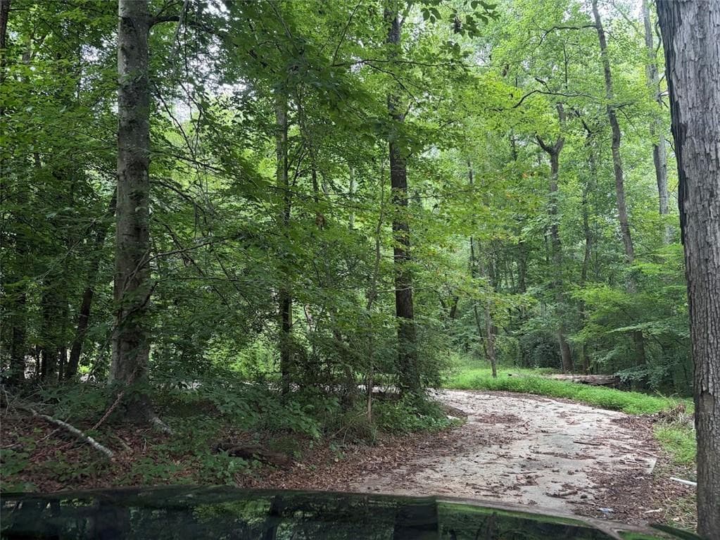 other for sale at 4824 Flakes Mill Road, Ellenwood, GA 30294 — photo 3