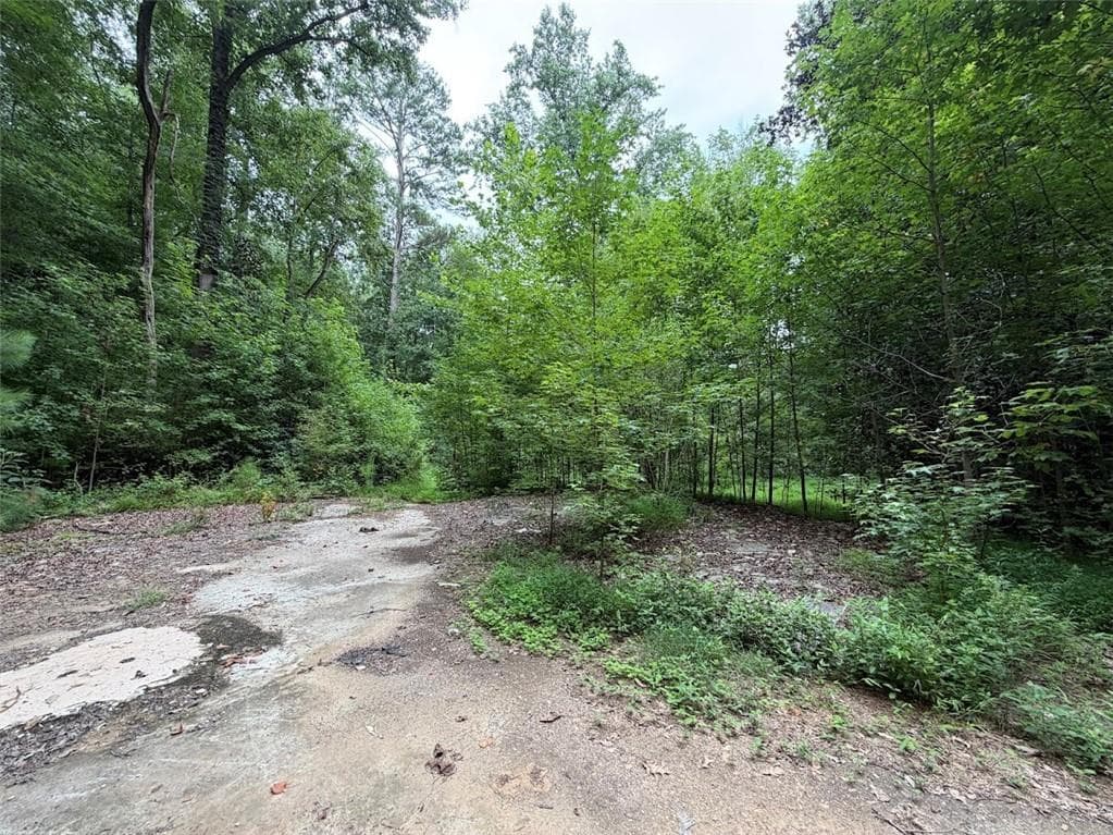 other for sale at 4824 Flakes Mill Road, Ellenwood, GA 30294 — photo 4