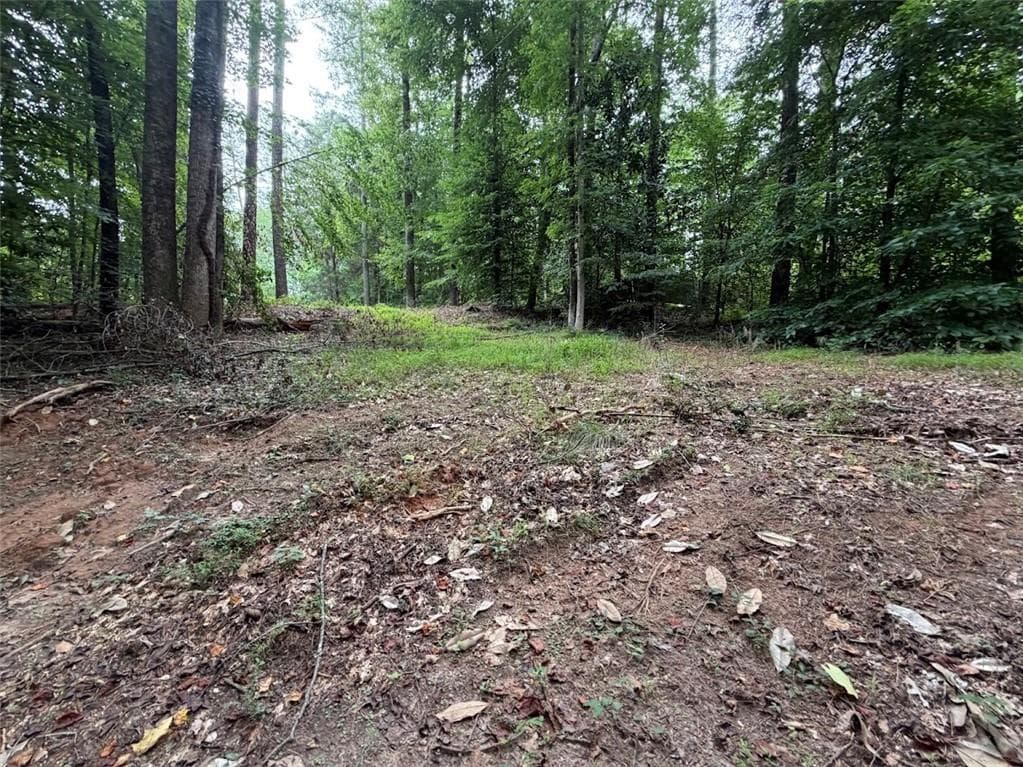 other for sale at 4824 Flakes Mill Road, Ellenwood, GA 30294 — photo 5