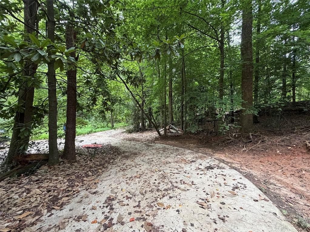 other for sale at 4824 Flakes Mill Road, Ellenwood, GA 30294 — photo 6