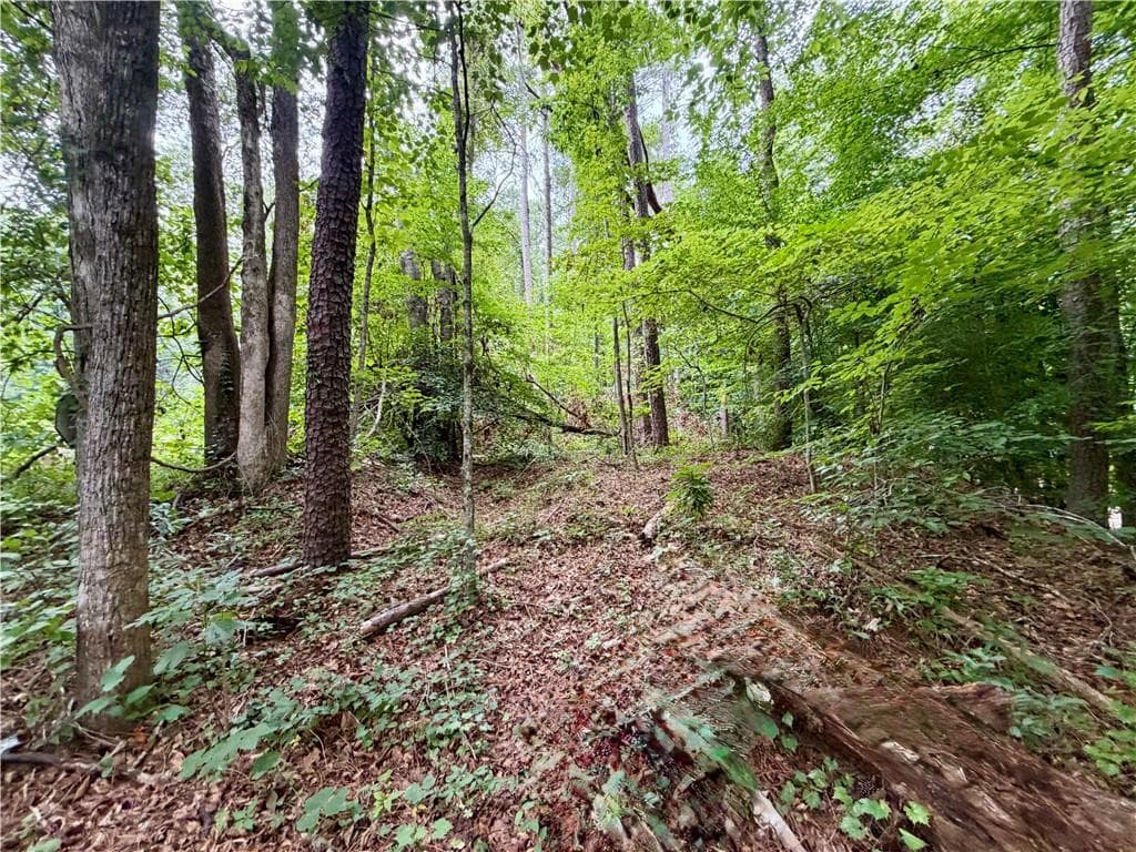 other for sale at 4824 Flakes Mill Road, Ellenwood, GA 30294 — photo 7