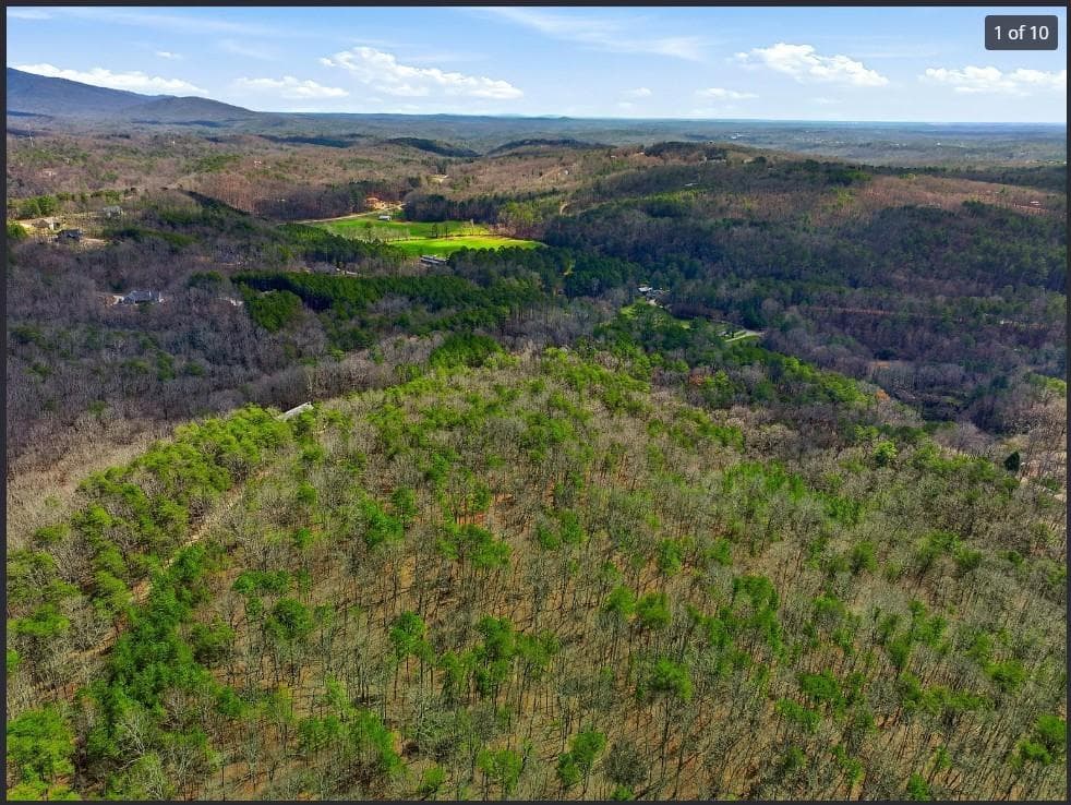 unimproved land for sale at 64 Bull Gap Road, Talking Rock, GA 30175 — photo 2