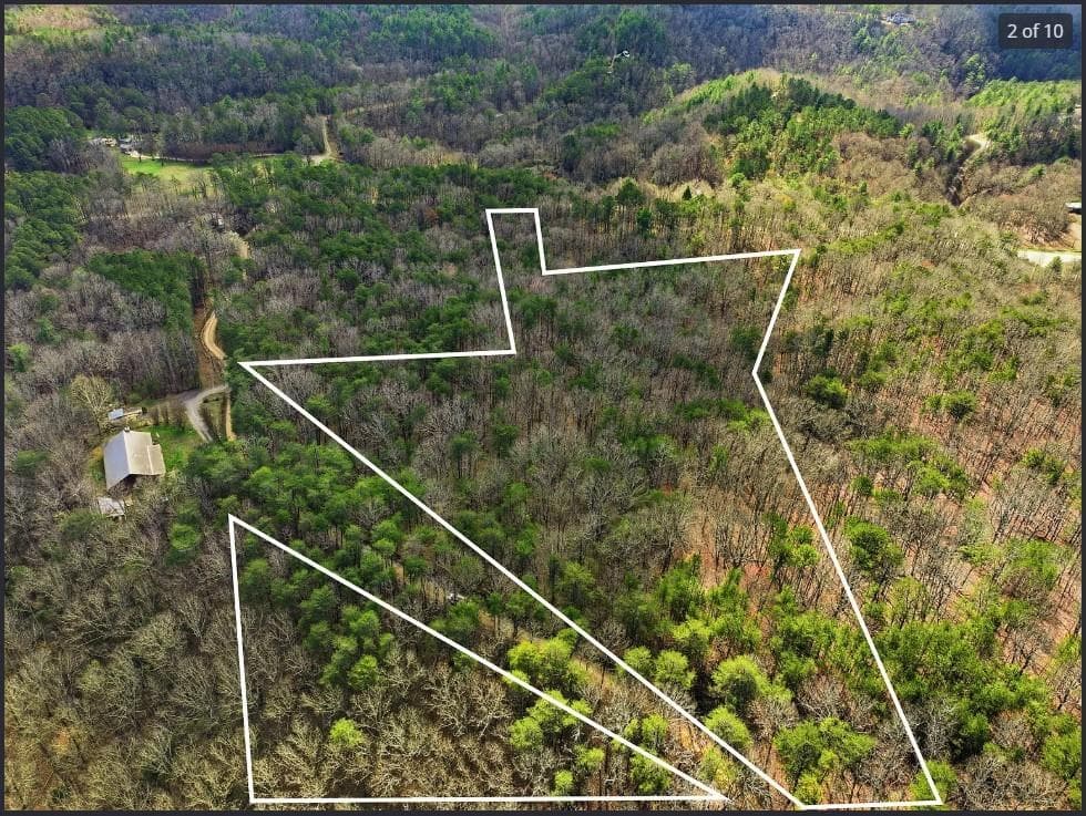 unimproved land for sale at 64 Bull Gap Road, Talking Rock, GA 30175 — photo 3