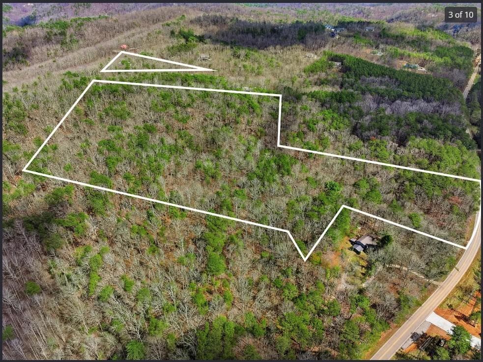 unimproved land for sale at 64 Bull Gap Road, Talking Rock, GA 30175 — photo 4