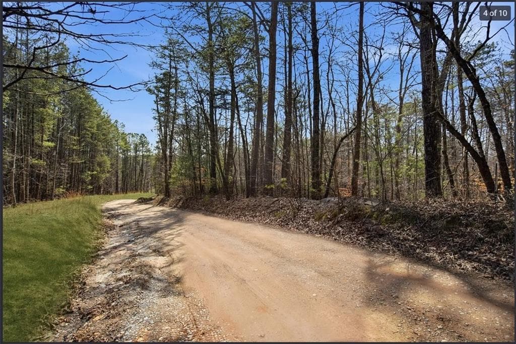 unimproved land for sale at 64 Bull Gap Road, Talking Rock, GA 30175 — photo 5