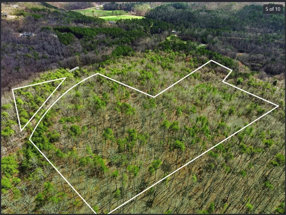unimproved land for sale at 64 Bull Gap Road, Talking Rock, GA 30175 — photo 6