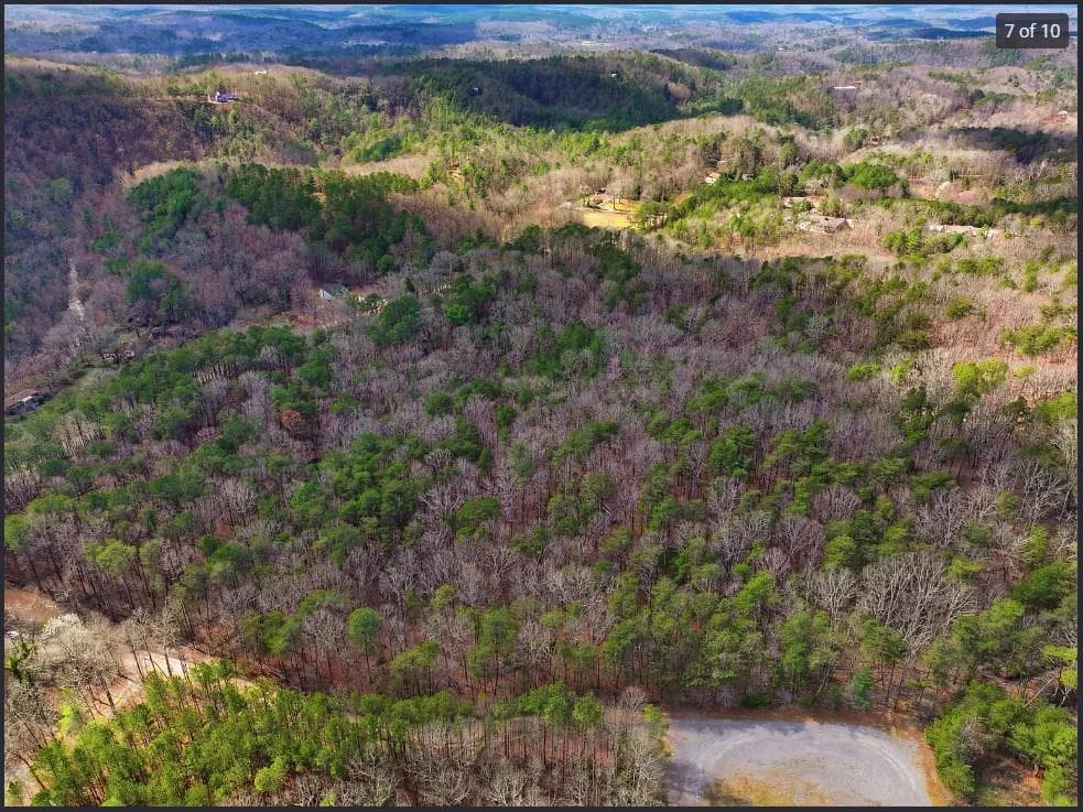 unimproved land for sale at 64 Bull Gap Road, Talking Rock, GA 30175 — photo 8