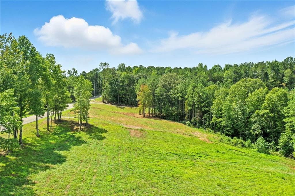unimproved land for sale at 3511 Reavis Mountain #2 Road, Ball Ground, GA 30107