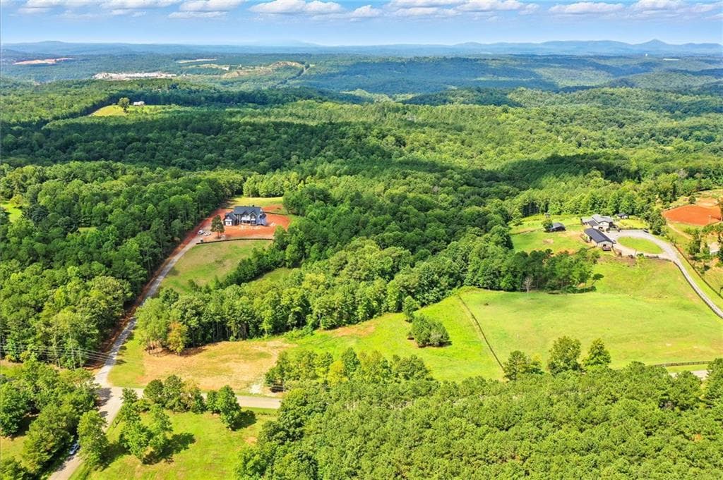 unimproved land for sale at 3511 Reavis Mountain #2 Road, Ball Ground, GA 30107 — photo 3