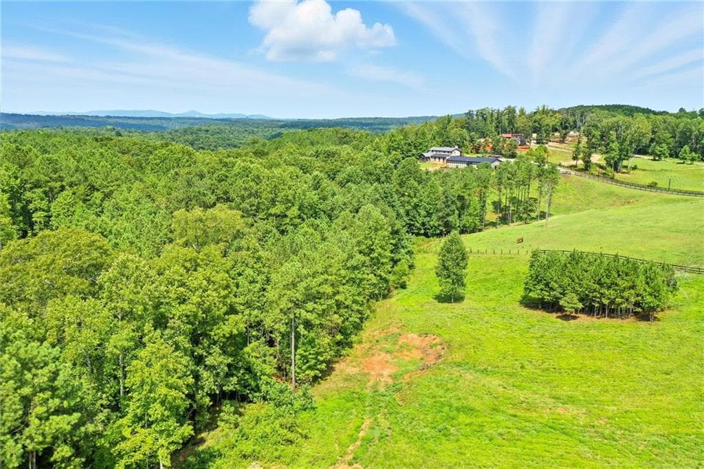 unimproved land for sale at 3511 Reavis Mountain #2 Road, Ball Ground, GA 30107 — photo 4