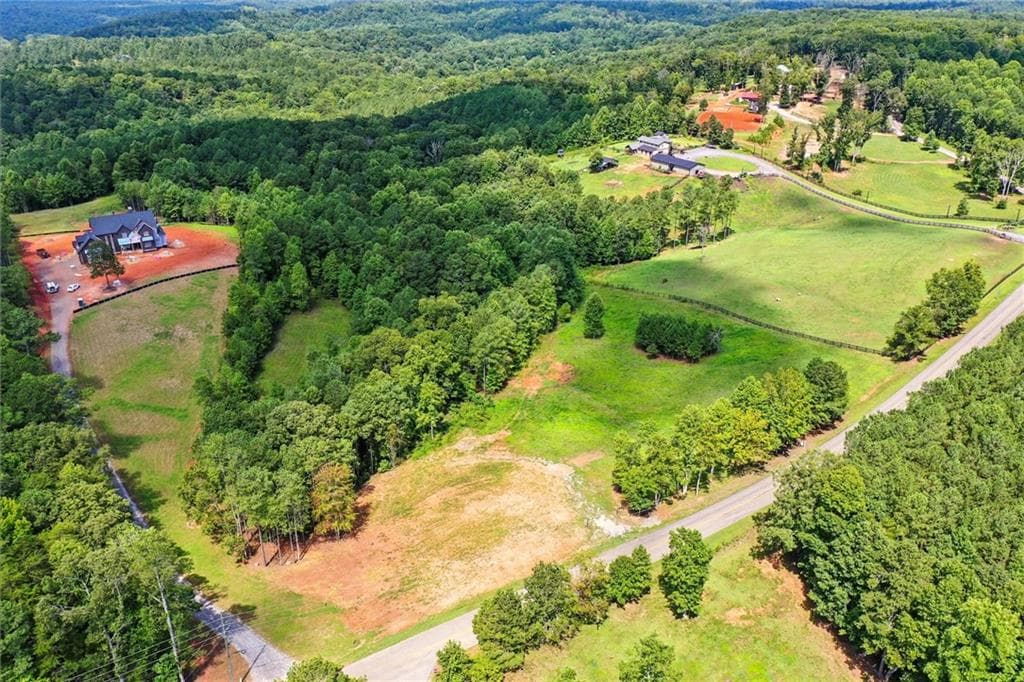 unimproved land for sale at 3511 Reavis Mountain #2 Road, Ball Ground, GA 30107 — photo 8