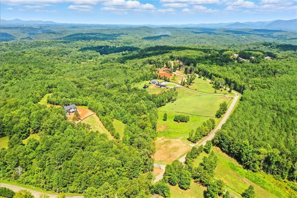 unimproved land for sale at 3511 Reavis Mountain #2 Road, Ball Ground, GA 30107 — photo 9