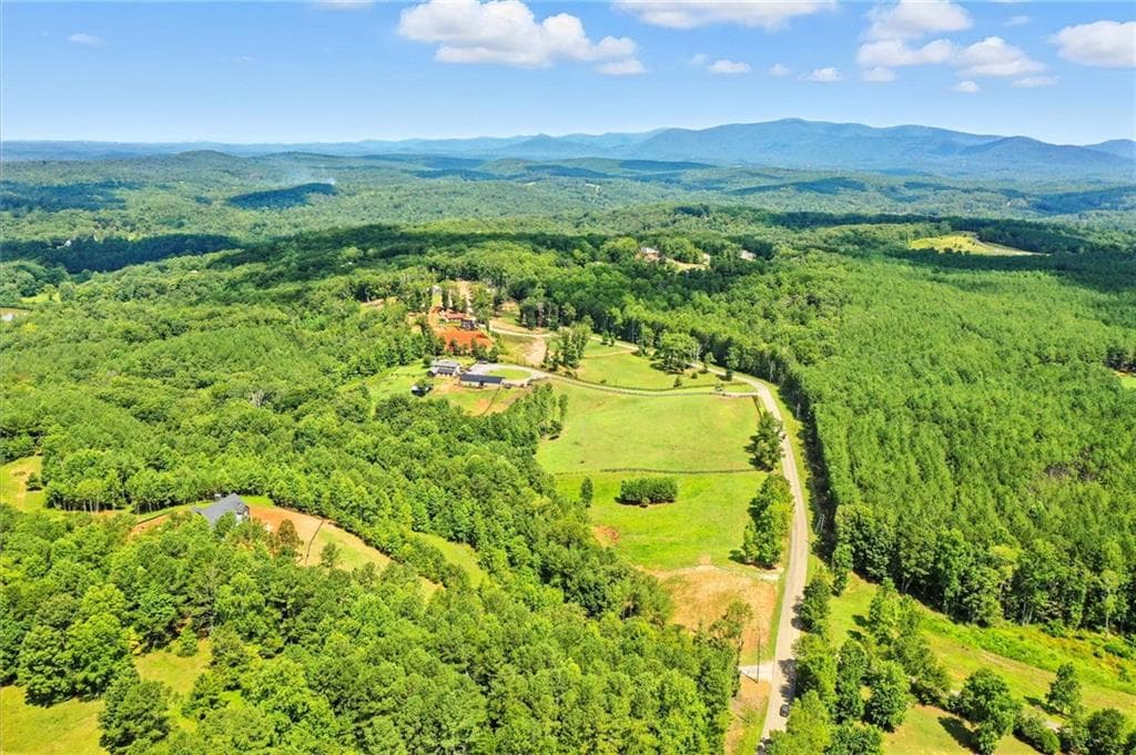 4 bedroom, 5 bathroom single family residence for sale at 3511 Reavis Mountain Road, Ball Ground, GA 30107 — photo 8