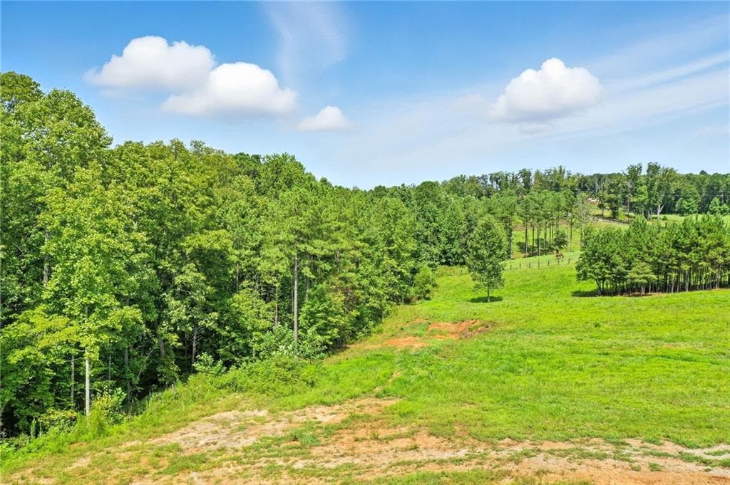 4 bedroom, 5 bathroom single family residence for sale at 3511 Reavis Mountain Road, Ball Ground, GA 30107 — photo 10