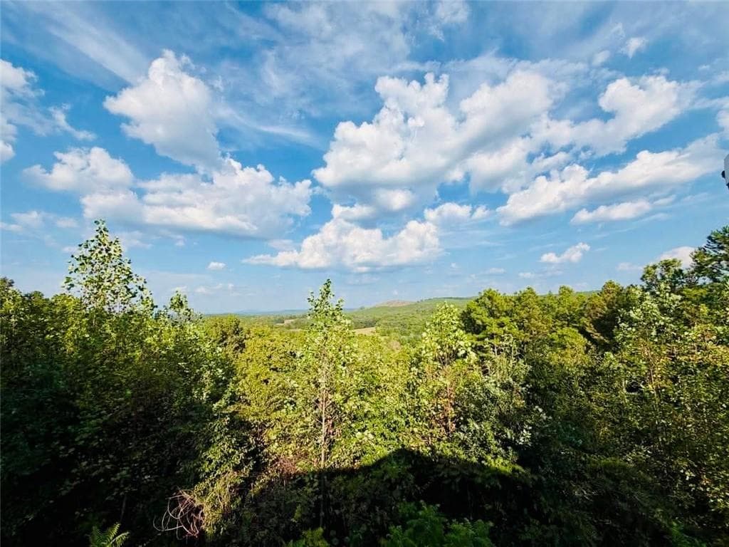 2 bedroom, 3 bathroom, 1,400 sq ft single family residence for sale at 540 County Road 368, Centre, AL 35960 — photo 5