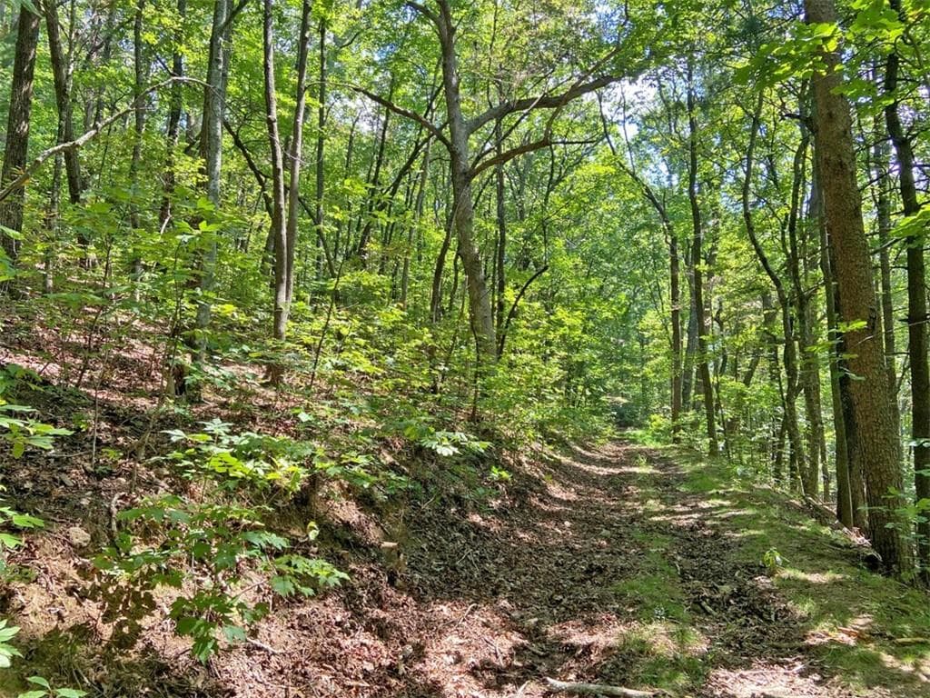 unimproved land for sale at 4.8ac Sign Board Gap Road, Dawsonville, GA 30534