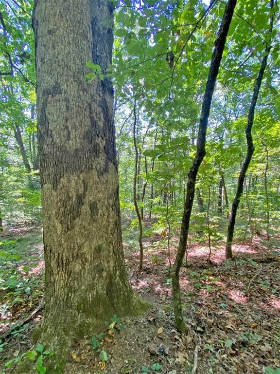 unimproved land for sale at 4.8ac Sign Board Gap Road, Dawsonville, GA 30534 — photo 2