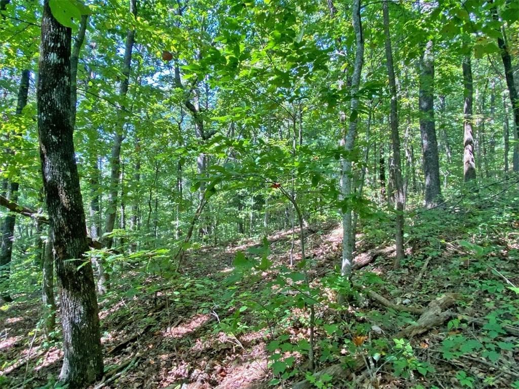 unimproved land for sale at 4.8ac Sign Board Gap Road, Dawsonville, GA 30534 — photo 4