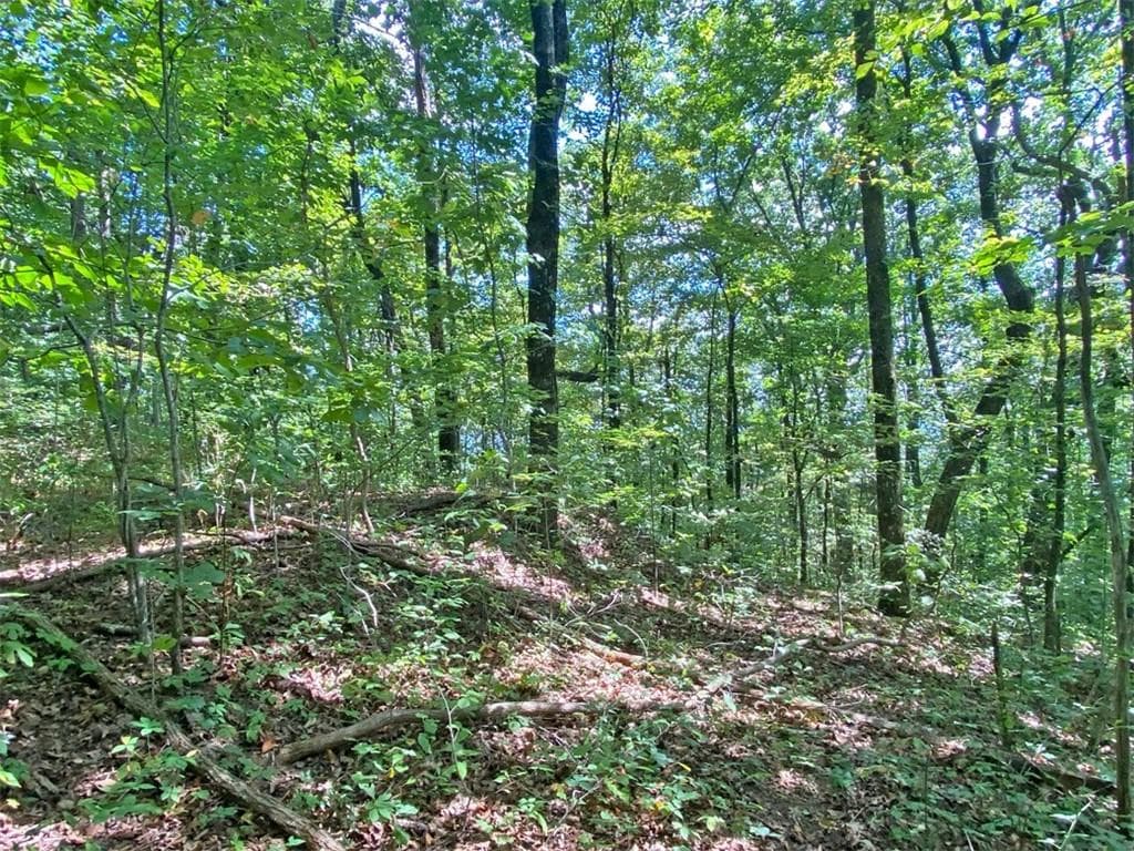 unimproved land for sale at 4.8ac Sign Board Gap Road, Dawsonville, GA 30534 — photo 5