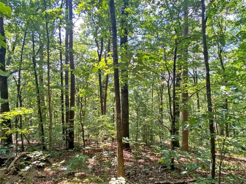 unimproved land for sale at 4.8ac Sign Board Gap Road, Dawsonville, GA 30534 — photo 6