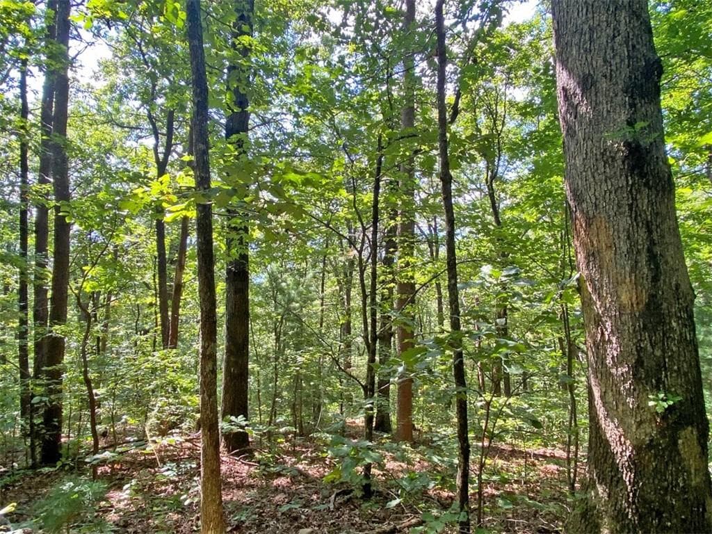 unimproved land for sale at 4.8ac Sign Board Gap Road, Dawsonville, GA 30534 — photo 7