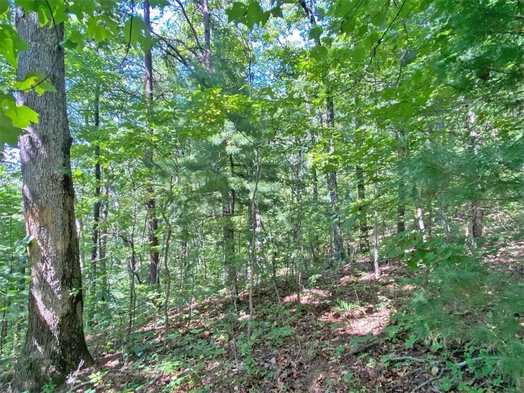 unimproved land for sale at 4.8ac Sign Board Gap Road, Dawsonville, GA 30534 — photo 8