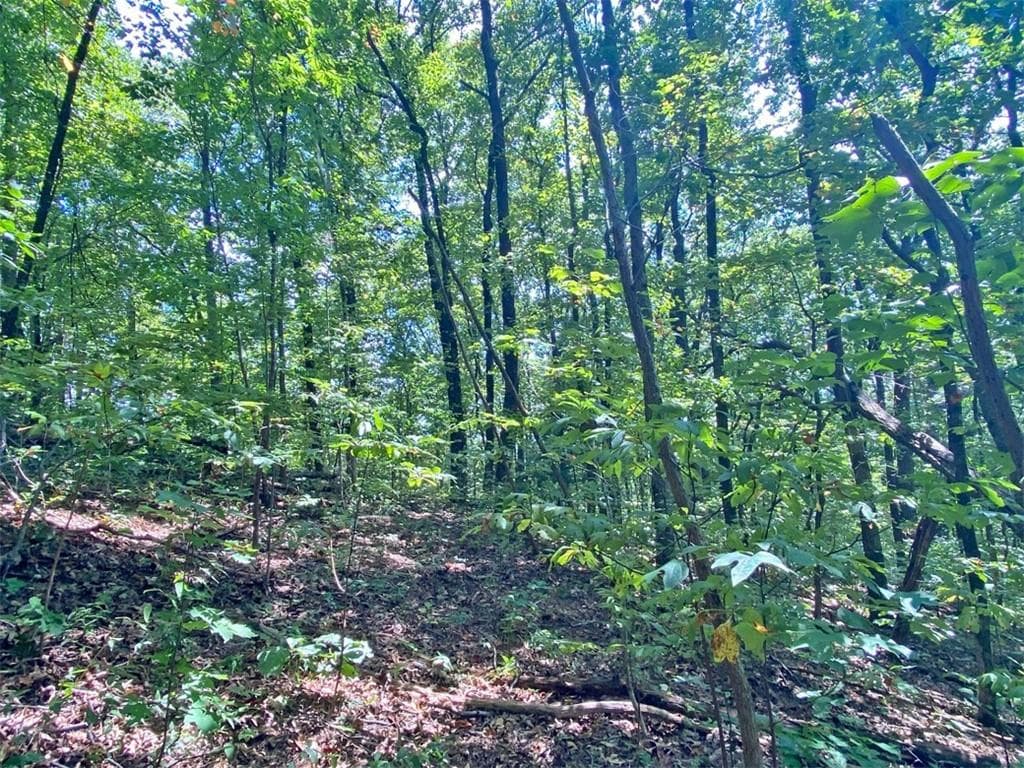 unimproved land for sale at 4.8ac Sign Board Gap Road, Dawsonville, GA 30534 — photo 9