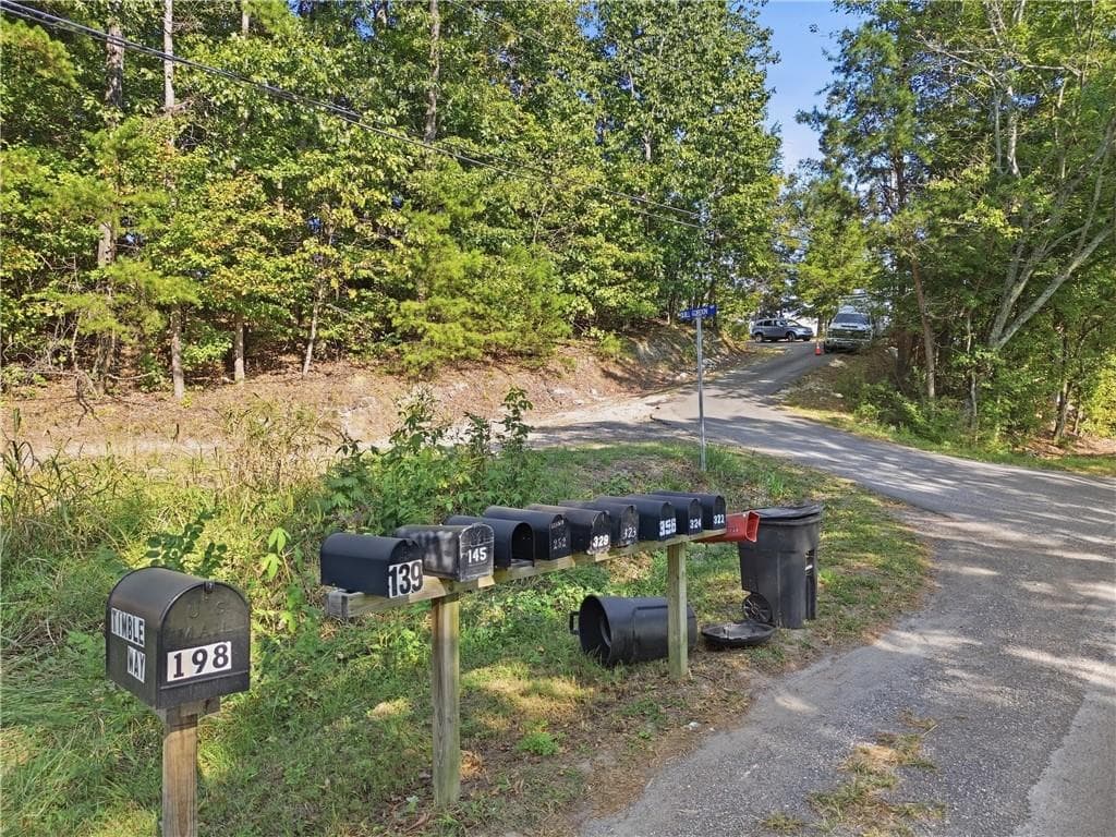 other for sale at 139 Quill Gordon Way, Cohutta, GA 30710 — photo 3