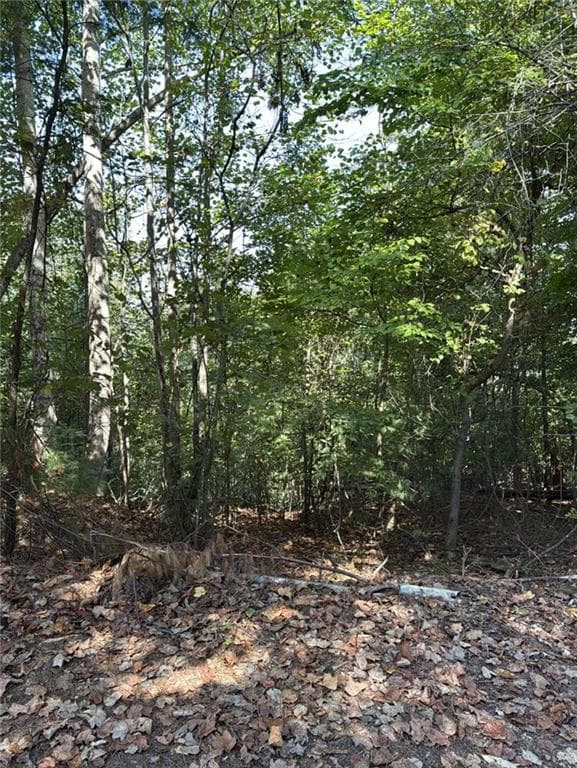 single family residence for sale at 946 Aurora Lane, Ranger, GA 30734 — photo 4